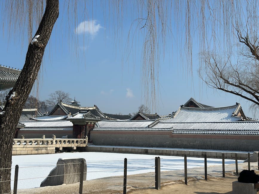 Winter in Korea: An Expat's Guide to Surviving -15°C