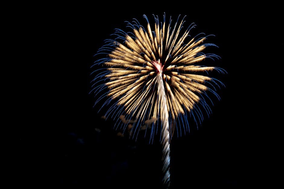 Summer Survival in Japan: Beating the Heat and Humidity
